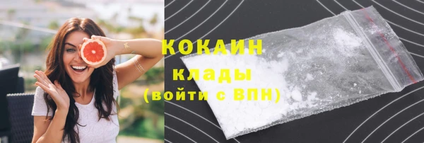 индика Аркадак