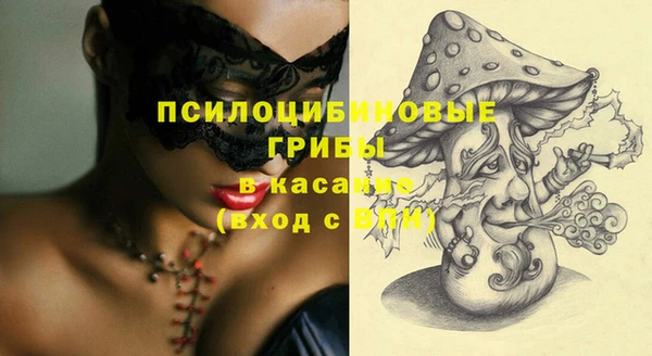 молекула духа Арсеньев