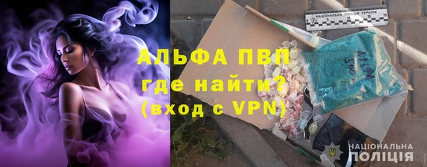 молекула духа Арсеньев