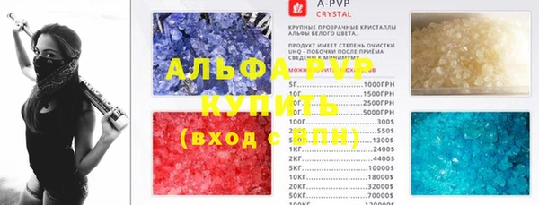 молекула духа Арсеньев