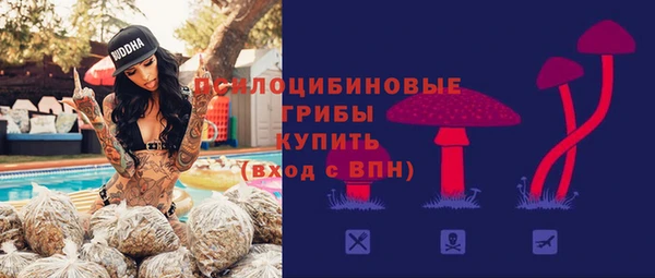 индика Аркадак